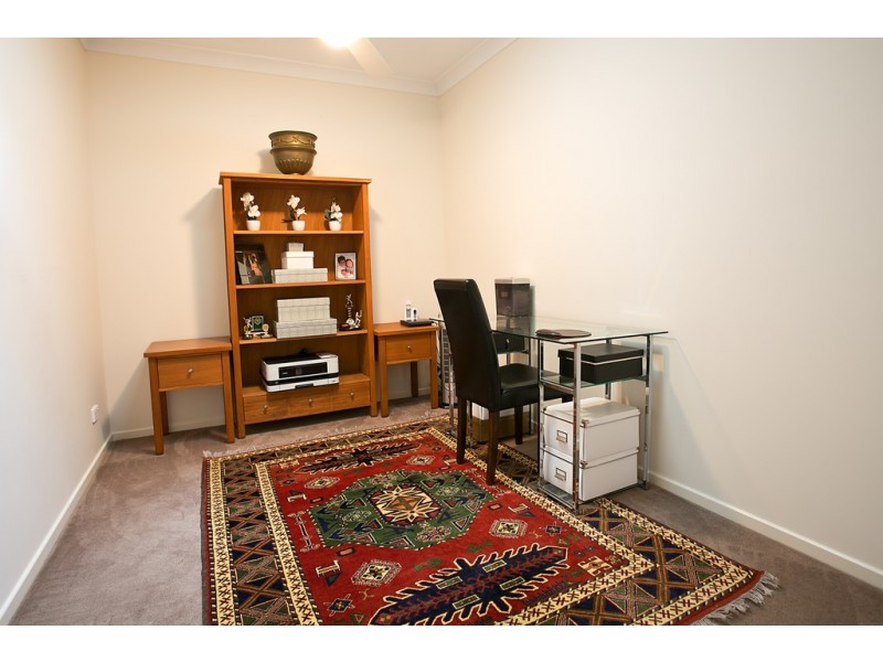 38 Tea Trees Ave, Springfield Lakes QLD 4300