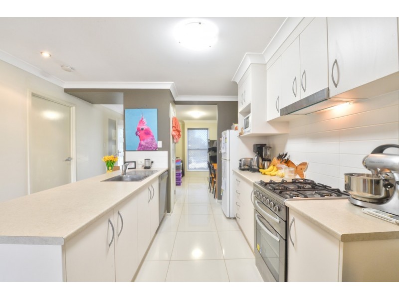 19 Wimbledon Street, Springfield Lakes QLD 4300