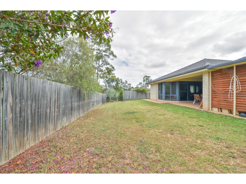 6 Mino Street, Springfield QLD 4300