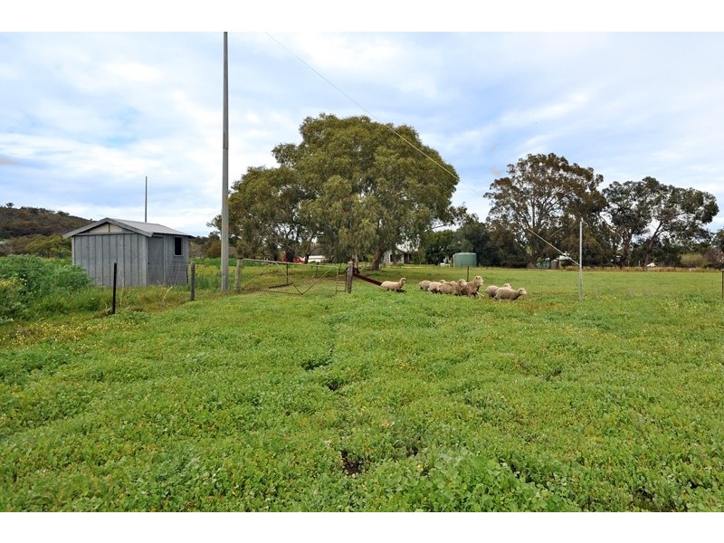 314 Campersic Road, Herne Hill WA 6056