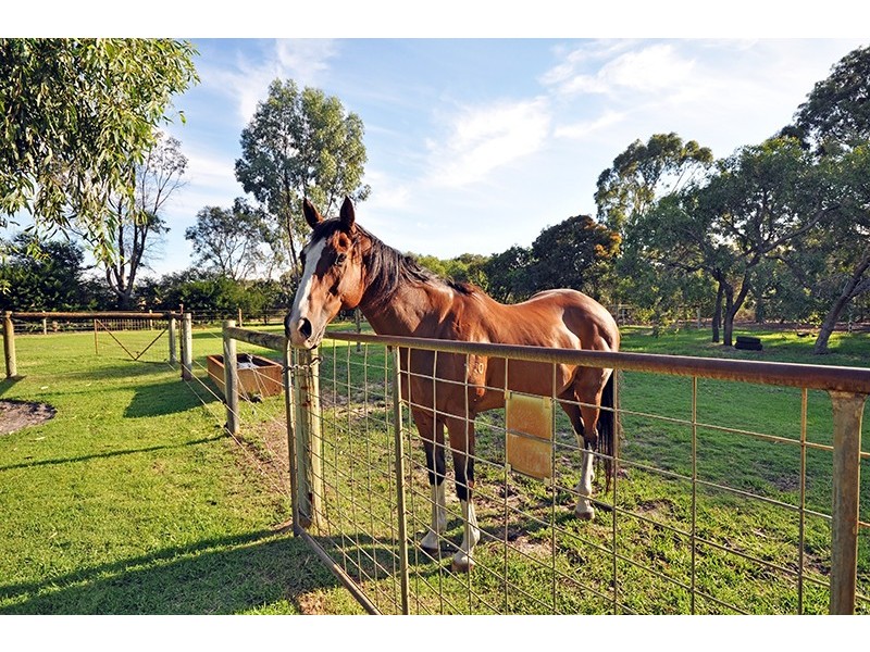 48 Aveley Road, Belhus WA 6069