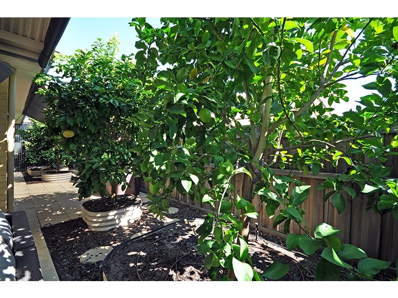 11 Redstone Trail, Ellenbrook WA 6069