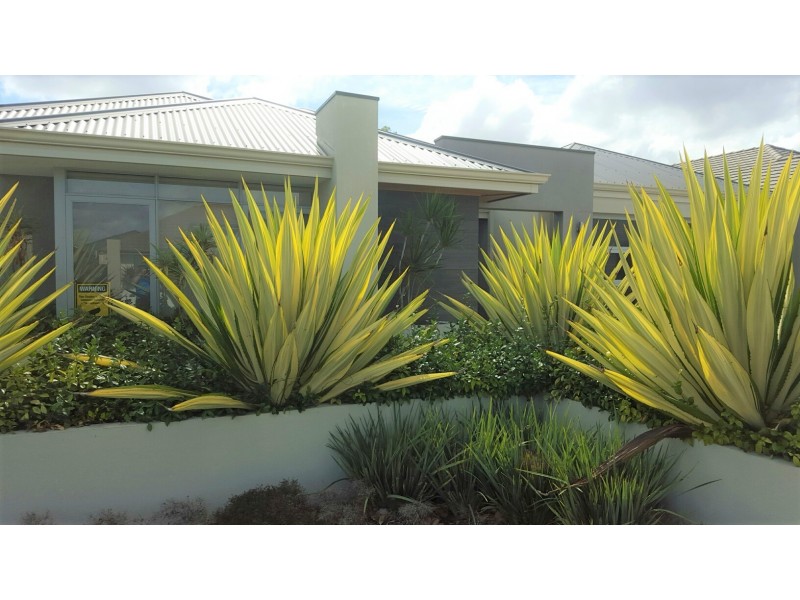 17 Virago Street, Aveley WA 6069