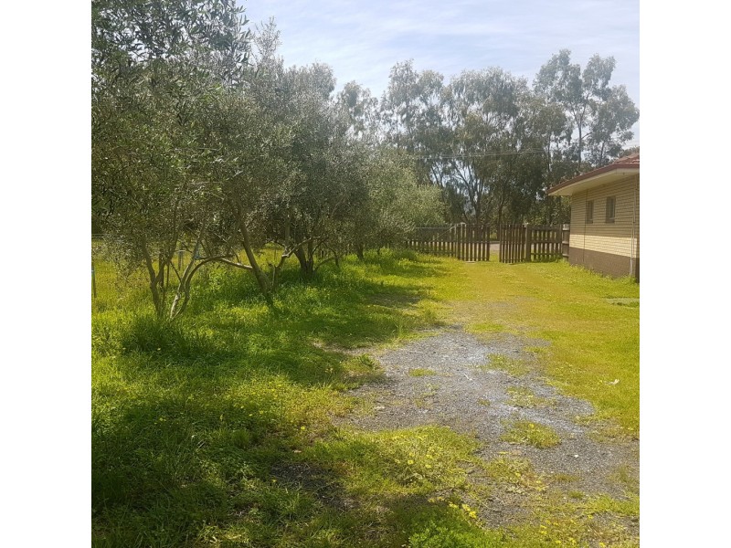 53 Lefroy Avenue, Herne Hill WA 6056