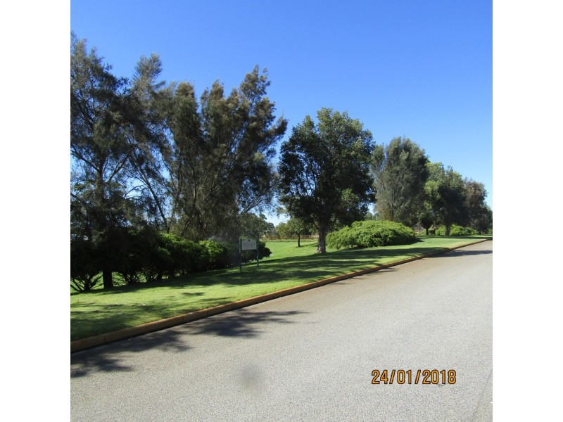 121 Pavilion Circle, The Vines WA 6069