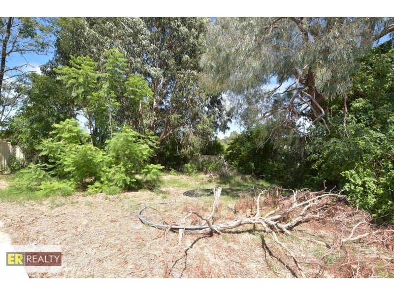 17 Girrawheen Avenue, Girrawheen WA 6064