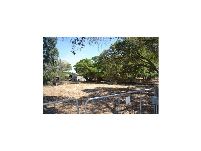 256 Padbury Avenue, Herne Hill WA 6056