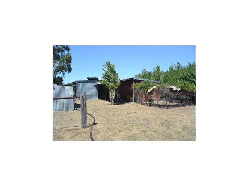 256 Padbury Avenue, Herne Hill WA 6056
