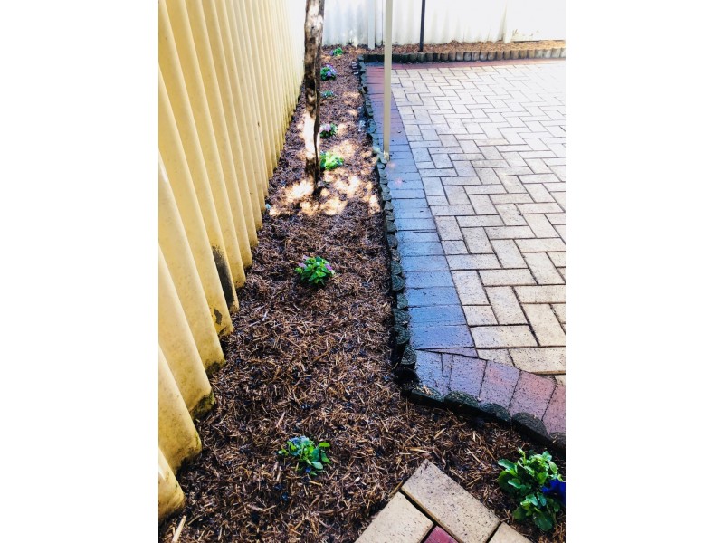 3/39 Sherwood Street, Maylands WA 6051