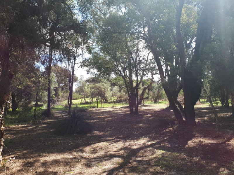 37 Santa Paula Lane, The Vines WA 6069