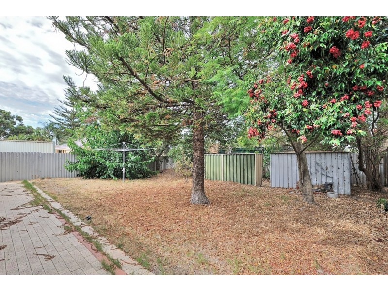 39 Steedman Loop, Mirrabooka WA 6061