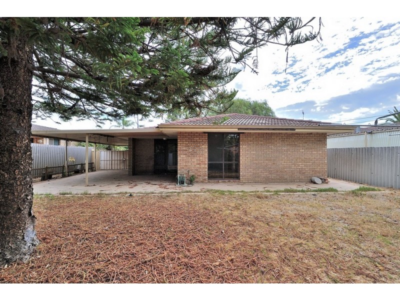 39 Steedman Loop, Mirrabooka WA 6061