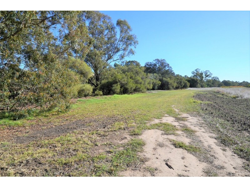 43 Herne Street, Herne Hill WA 6056