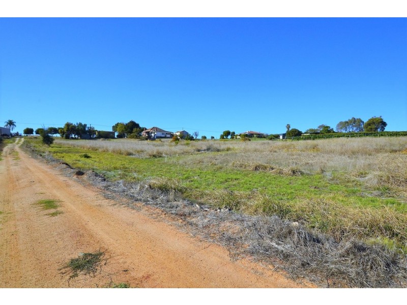 43 Herne Street, Herne Hill WA 6056