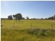 131 Stock Road, Herne Hill WA 6056