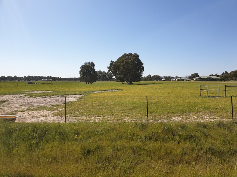 131 Stock Road, Herne Hill WA 6056