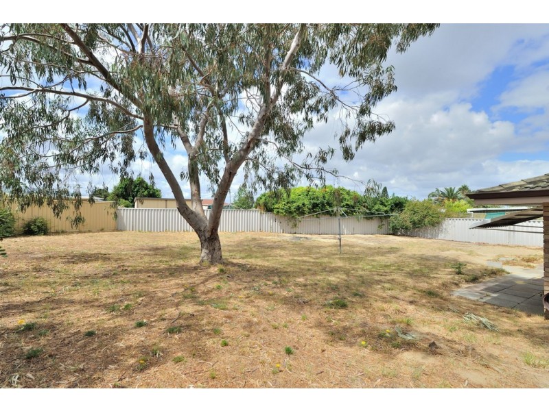 5 Meehan Close, Mirrabooka WA 6061