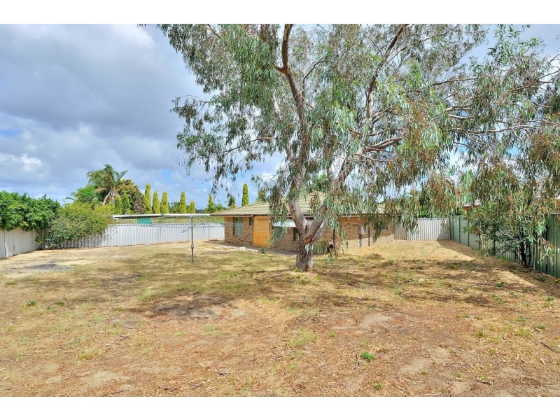 5 Meehan Close, Mirrabooka WA 6061