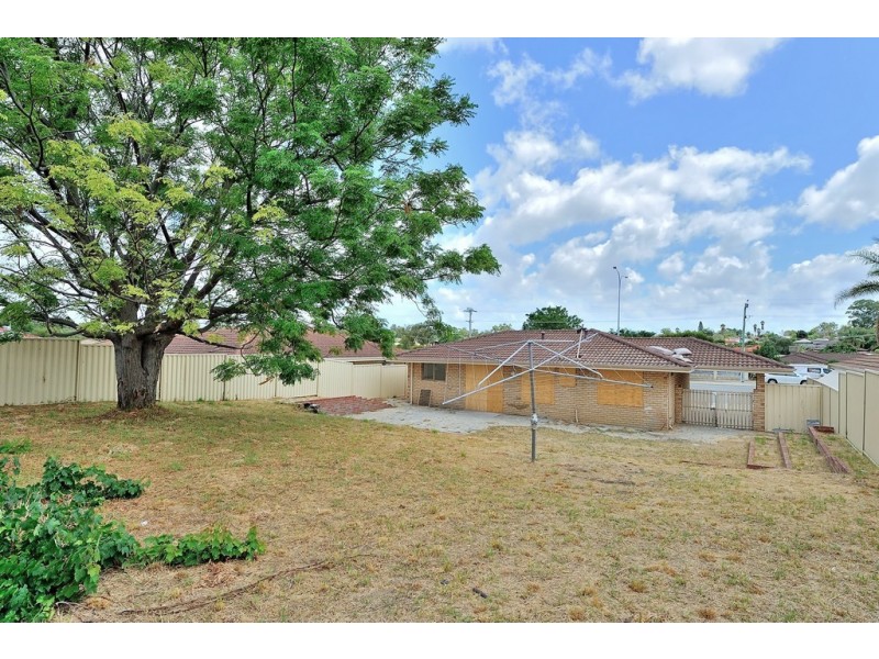 39 Honeywell Boulevard, Mirrabooka WA 6061