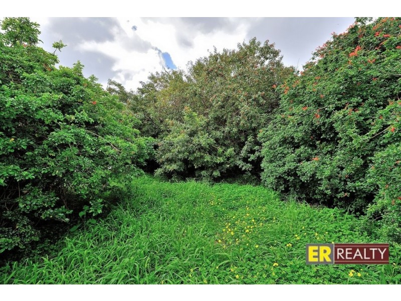 16 Piedmont Street, Nollamara WA 6061