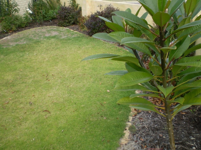 92 Coolamon Boulevard, Ellenbrook WA 6069