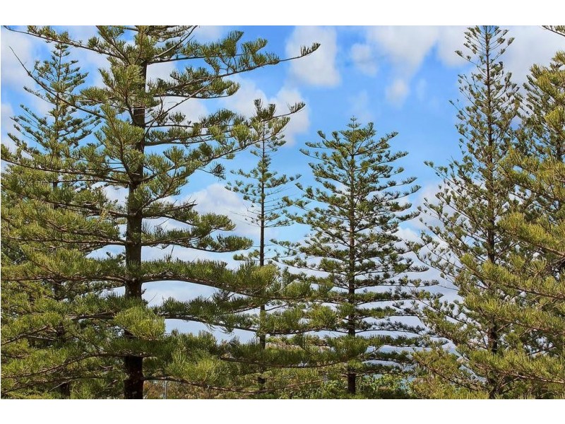 14/30 The Esplanade, Burleigh Heads QLD 4220