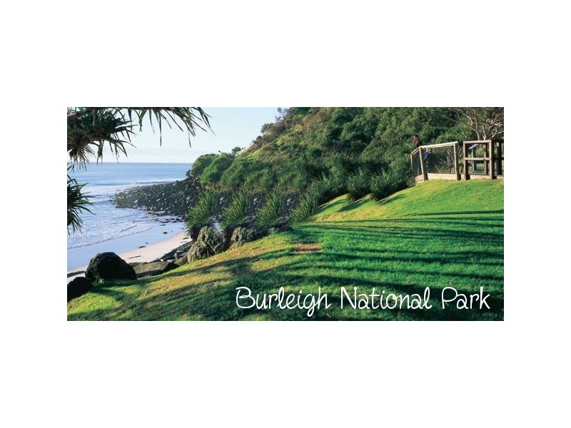 51 Acanthus Avenue, Burleigh Heads QLD 4220