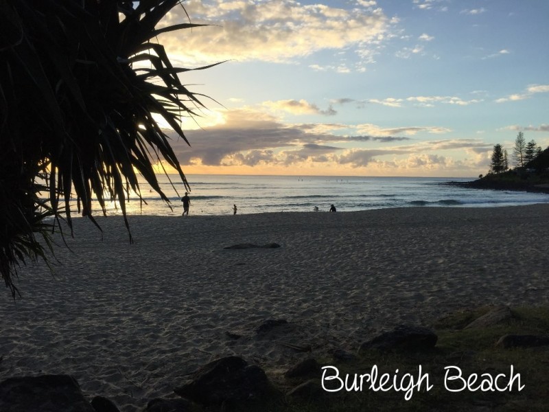 51 Acanthus Avenue, Burleigh Heads QLD 4220