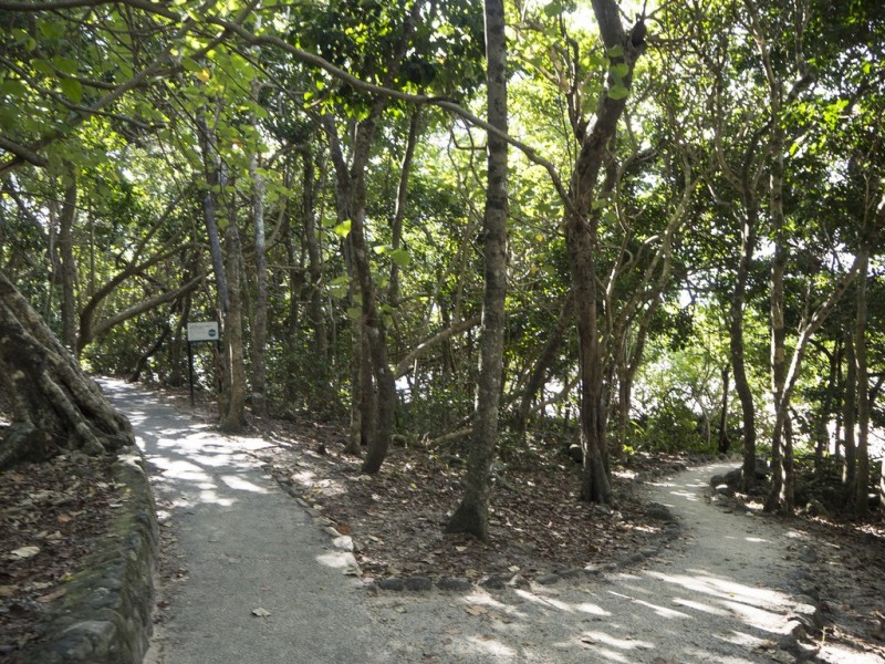 2/45 Hayle Street, Burleigh Heads QLD 4220