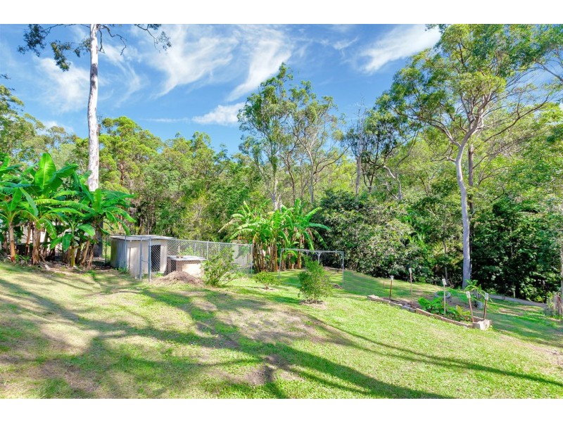 11 William Hollindale Court, Worongary QLD 4213