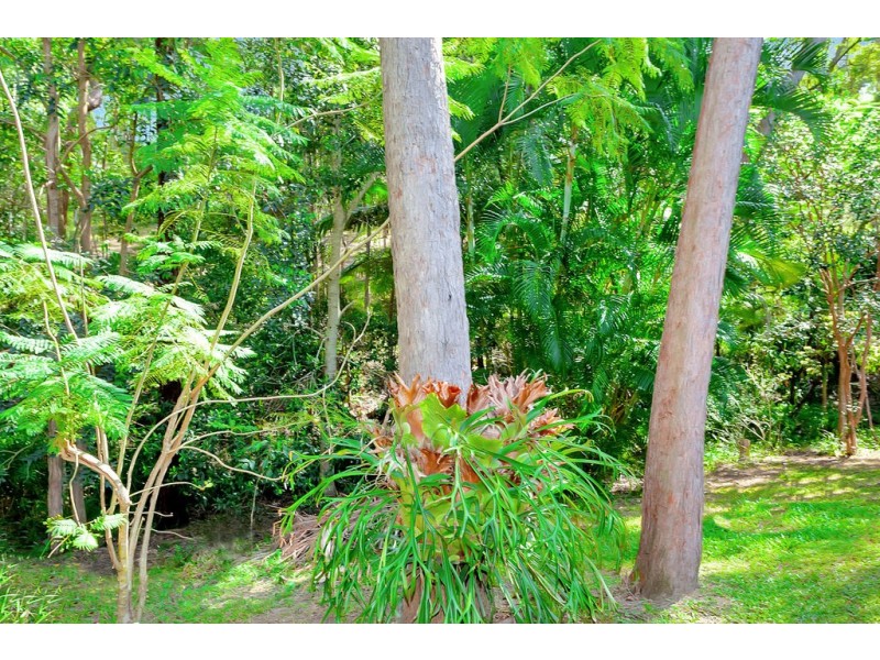 11 William Hollindale Court, Worongary QLD 4213