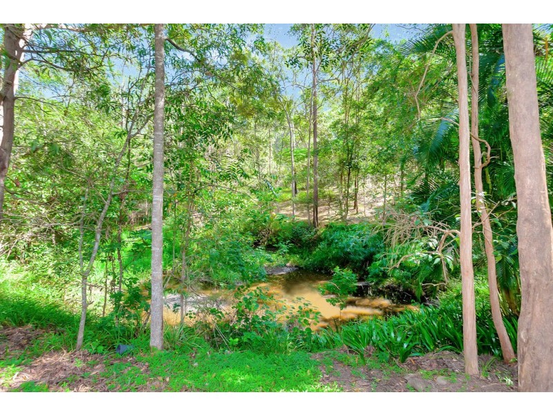 11 William Hollindale Court, Worongary QLD 4213