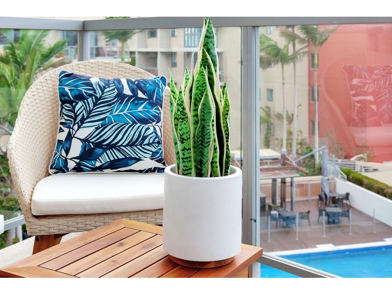 2061/1 Ocean Street, Burleigh Heads QLD 4220