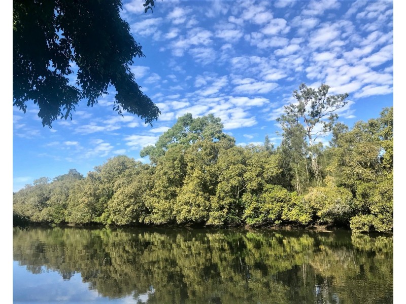 37 Kentia Court, Elanora QLD 4221