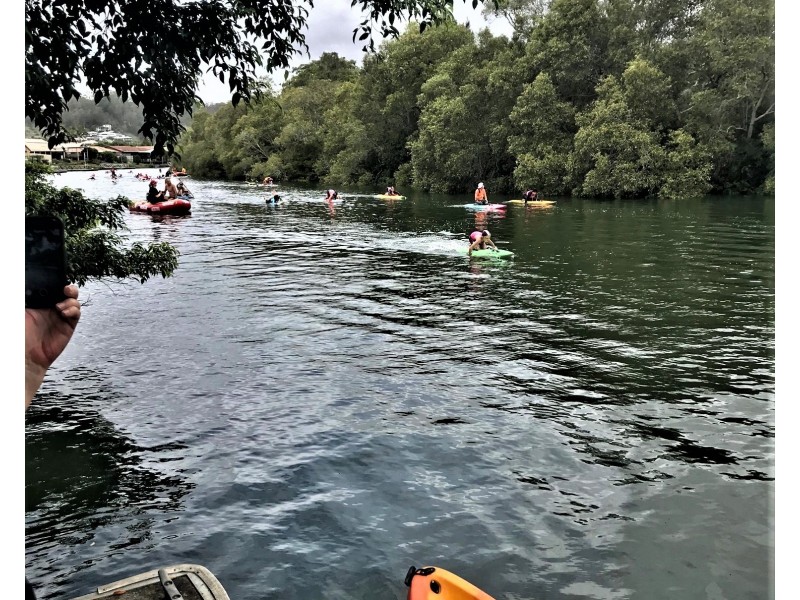 37 Kentia Court, Elanora QLD 4221