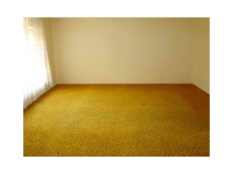 102 Acanthus Avenue, Burleigh Heads QLD 4220