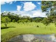 763 Tallebudgera Creek Road, Tallebudgera Valley QLD 4228