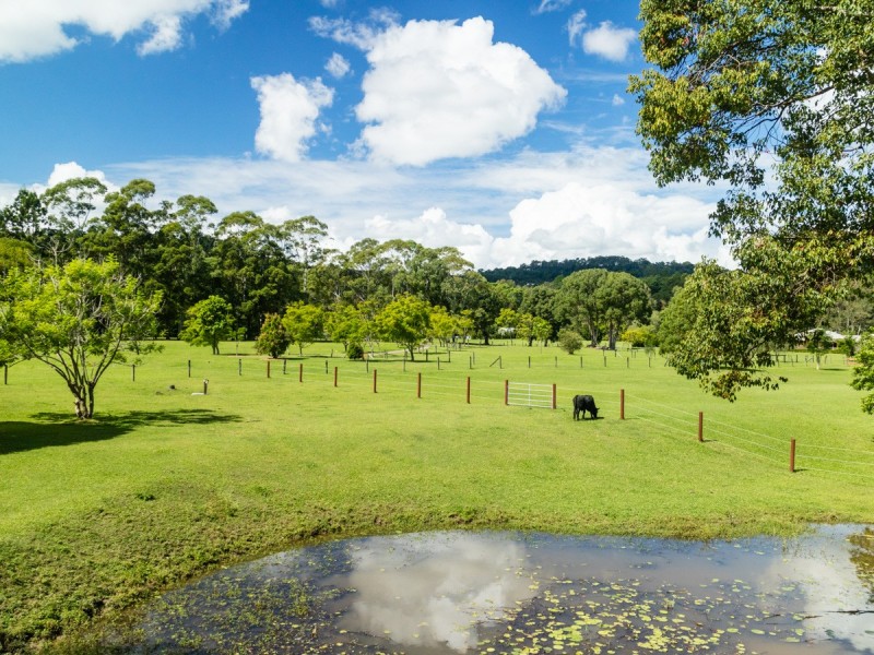 763 Tallebudgera Creek Road, Tallebudgera Valley QLD 4228