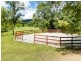 763 Tallebudgera Creek Road, Tallebudgera Valley QLD 4228
