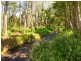 763 Tallebudgera Creek Road, Tallebudgera Valley QLD 4228