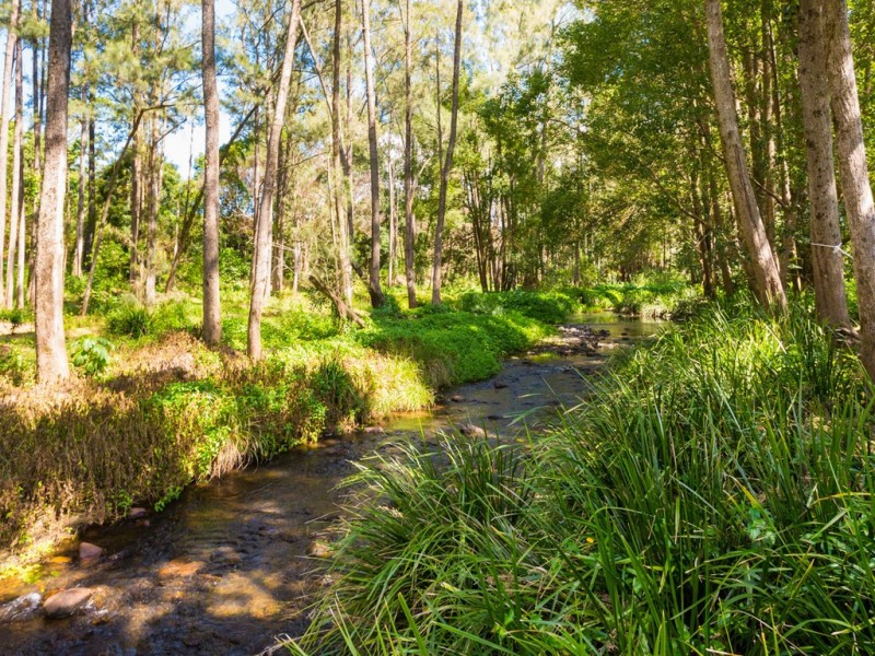 763 Tallebudgera Creek Road, Tallebudgera Valley QLD 4228