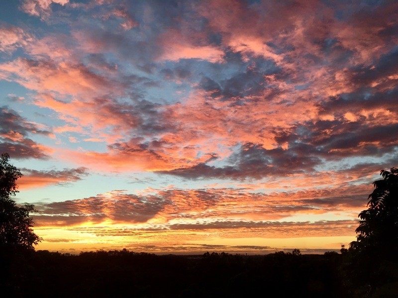 194 Berrigans Road, Mudgeeraba QLD 4213