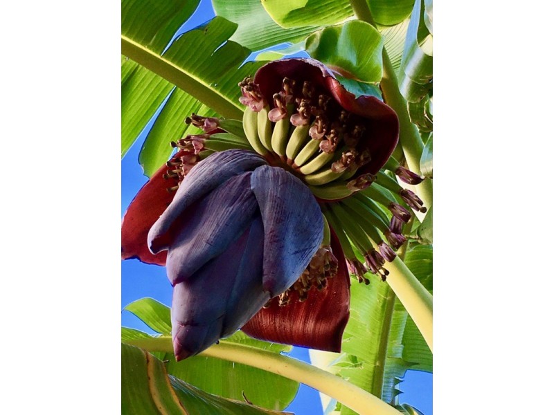 194 Berrigans Road, Mudgeeraba QLD 4213