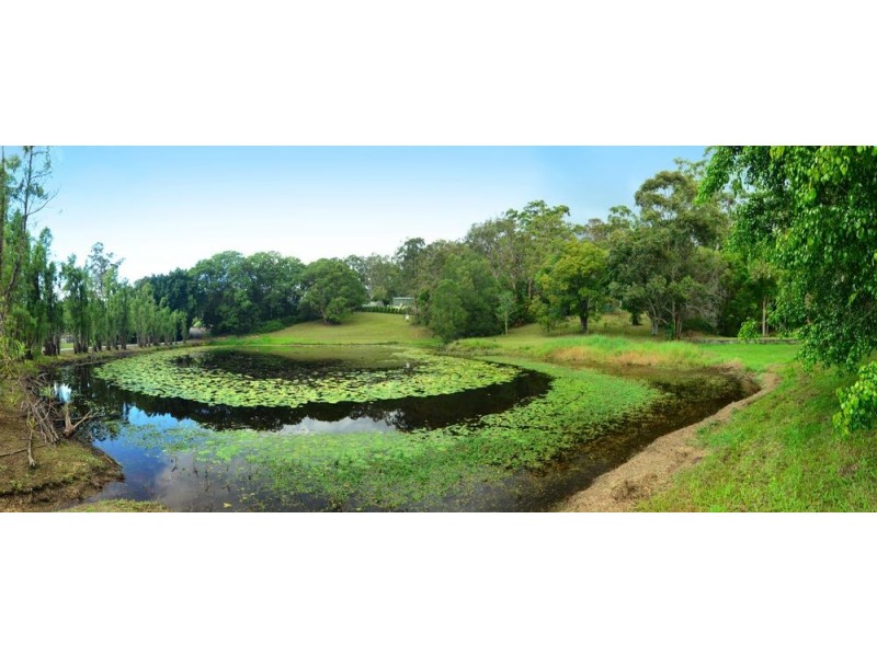 37 Koombahla Drive, Tallebudgera QLD 4228