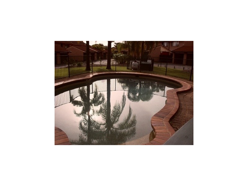 3/82 Lawrence Drive, Nerang QLD 4211