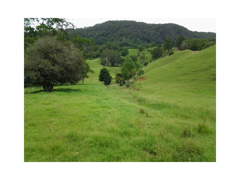 1318 Currumbin Creek Road, Currumbin Valley QLD 4223