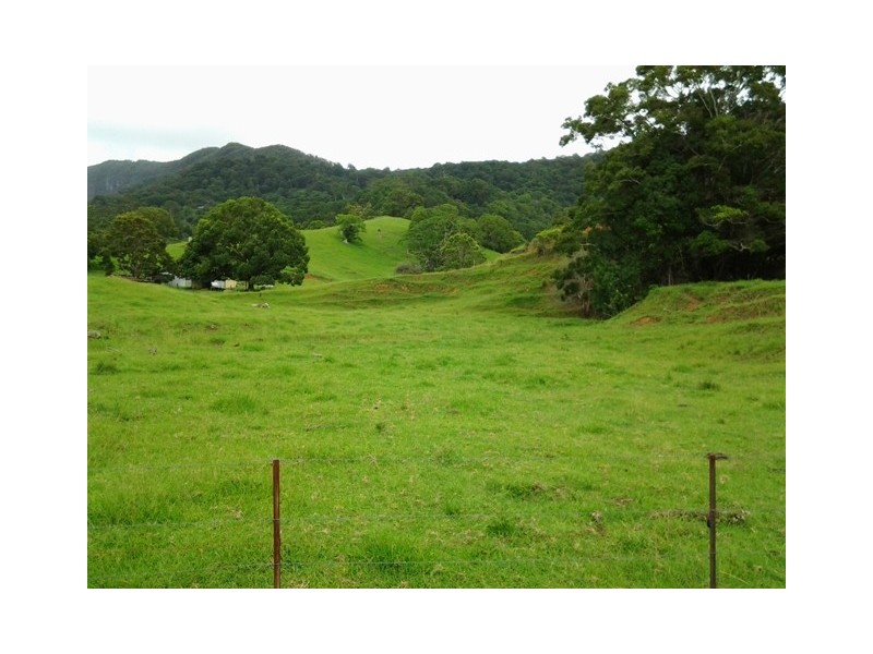 1318 Currumbin Creek Road, Currumbin Valley QLD 4223