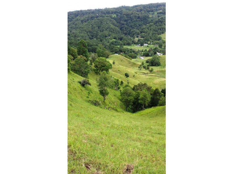 1318 Currumbin Creek Road, Currumbin Valley QLD 4223