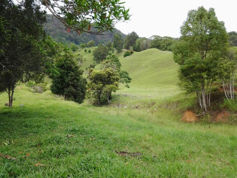 1318 Currumbin Creek Road, Currumbin Valley QLD 4223