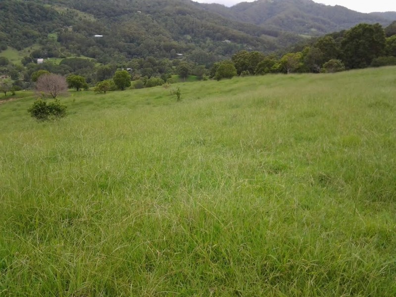 1318 Currumbin Creek Road, Currumbin Valley QLD 4223